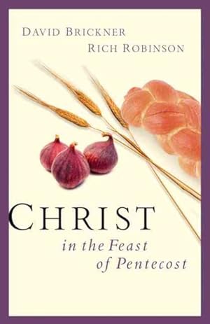 Imagen del vendedor de Christ in the Feast of Pentecost a la venta por GreatBookPricesUK