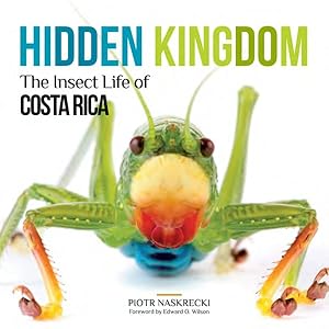 Bild des Verkufers fr Hidden Kingdom : The Insect Life of Costa Rica zum Verkauf von GreatBookPricesUK