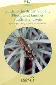 Guide to the British Stonefly (Plecoptera) families: adults and larvae