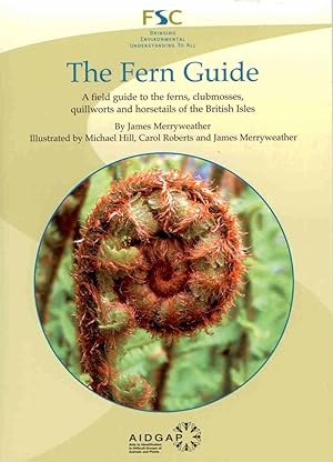 The Fern Guide: A Field Guide to the Ferns, Clubmosses, Quillworts and Horsetails of the British ...