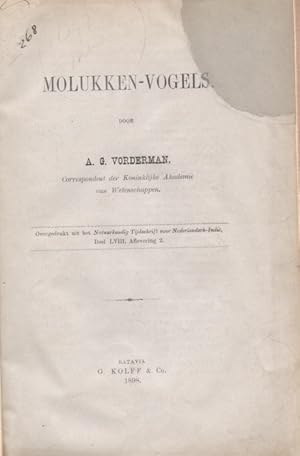 Seller image for Molukken-Vogels for sale by PEMBERLEY NATURAL HISTORY BOOKS BA, ABA