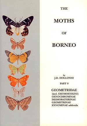 Image du vendeur pour The Moths of Borneo 9: Geometridae: Oenochrominae, Desmobathrinae, Geometrinae mis en vente par PEMBERLEY NATURAL HISTORY BOOKS BA, ABA