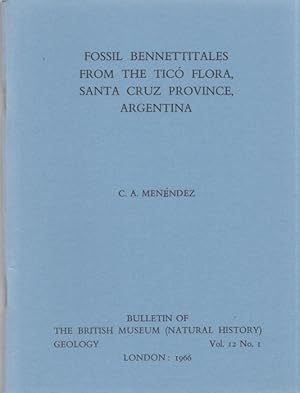 Fossil Bennettitales from the Tico Flora, Santa Cruz Province, Argentina