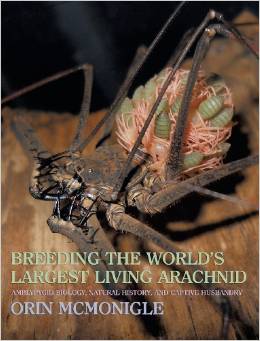 Breeding the Worlds Largest Living Arachnid: Amblypygid (Whipspider) Biology Natural History and ...