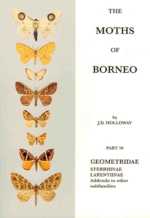 Image du vendeur pour The Moths of Borneo 10: Geometridae: Sterrhinae, Larentiinae mis en vente par PEMBERLEY NATURAL HISTORY BOOKS BA, ABA