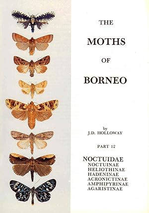 Image du vendeur pour The Moths of Borneo 12: Noctuidae: Noctuinae, Heliothinae, Acronictinae, Amphipyrinae, Agaristidae mis en vente par PEMBERLEY NATURAL HISTORY BOOKS BA, ABA