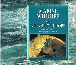 Marine Wildlife of Atlantic Europe