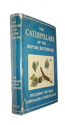 Imagen del vendedor de The Caterpillars of the British Butterflies including the Eggs, Chrysalids and Food-Plants a la venta por PEMBERLEY NATURAL HISTORY BOOKS BA, ABA