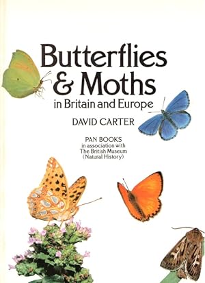Image du vendeur pour Butterflies & Moths in Great Britain and Europe mis en vente par PEMBERLEY NATURAL HISTORY BOOKS BA, ABA