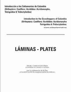 Imagen del vendedor de Introduccion a los saltamontes de Colombia (Orthoptera: Caelifera, Acridomorpha, Tetrigoidea & Tridactyloidea) (Laminas-Plates) a la venta por PEMBERLEY NATURAL HISTORY BOOKS BA, ABA