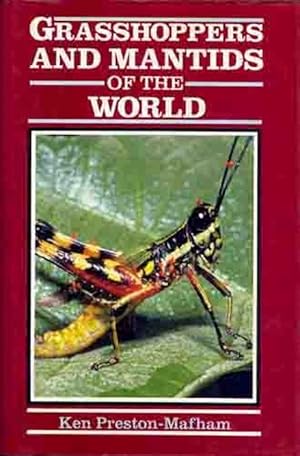 Grasshoppers and Mantids of the World