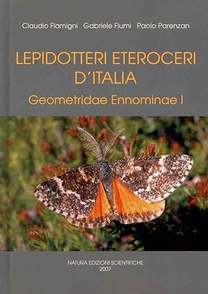 Immagine del venditore per Lepidotteri Eteroceri d'Italia: Geometridae Ennominae I venduto da PEMBERLEY NATURAL HISTORY BOOKS BA, ABA