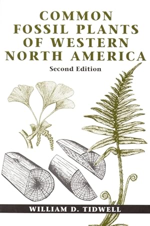 Common Fossil Plants of Western North America