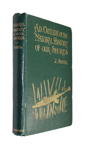 An Outline of the Natural History of our Shores