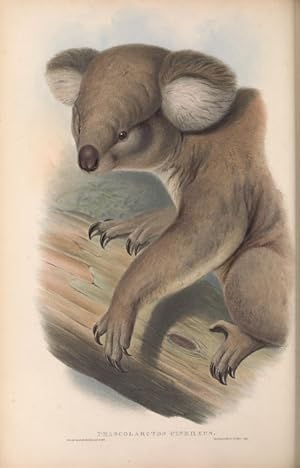 Mammals of Australia. Vol. I (Wombats, Koalas, Possums, Echidnas, Platypus)