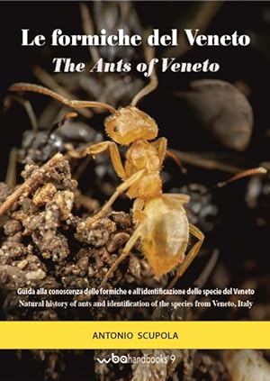 Bild des Verkufers fr Le Formiche del Veneto - The Ants of Veneto zum Verkauf von PEMBERLEY NATURAL HISTORY BOOKS BA, ABA