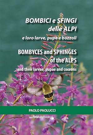 Seller image for Bombyces and Sphinges of the Alps and their larvae, pupae and cocoons for sale by PEMBERLEY NATURAL HISTORY BOOKS BA, ABA