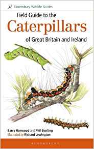 Seller image for Field Guide to the Caterpillars of Great Britain and Ireland for sale by PEMBERLEY NATURAL HISTORY BOOKS BA, ABA