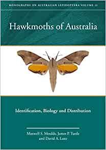 Bild des Verkufers fr Hawkmoths of Australia: Identification, Biology and Distribution zum Verkauf von PEMBERLEY NATURAL HISTORY BOOKS BA, ABA