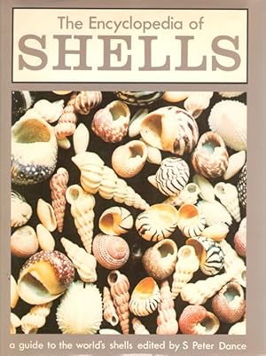 Immagine del venditore per The Encyclopedia of Shells venduto da PEMBERLEY NATURAL HISTORY BOOKS BA, ABA