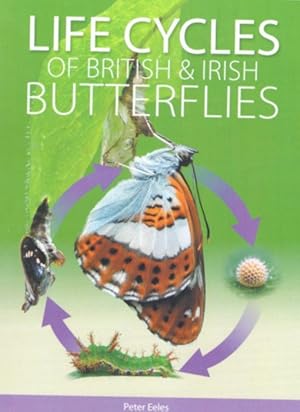 Life Cycles of British & Irish Butterflies