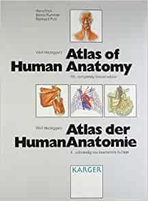 Bild des Verkufers fr Wolf-Heidegger's Atlas of Human Anatomy / Wolf-Heidegger's Atlas der HumanAnatomie zum Verkauf von PEMBERLEY NATURAL HISTORY BOOKS BA, ABA