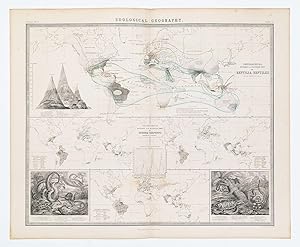 (World) Map of the Distribution of Marine Life, illustrated chiefly by fishes, molluscs & radiata...