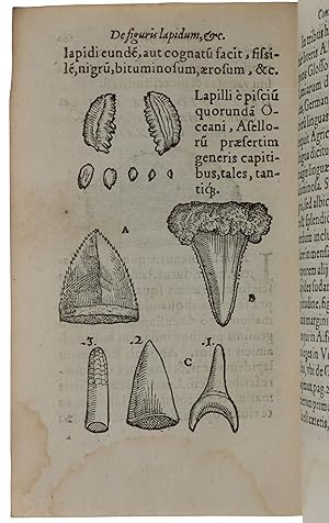 Image du vendeur pour De Omni Rerum Fossilium Genere, Gemmis, Lapidibus, Metallis, et huiusmodi, libri aliquot, plerique nunc primum editi. Opera Conradi Gesneri: Quorum Catalogum sequens folium cominet mis en vente par SOPHIA RARE BOOKS