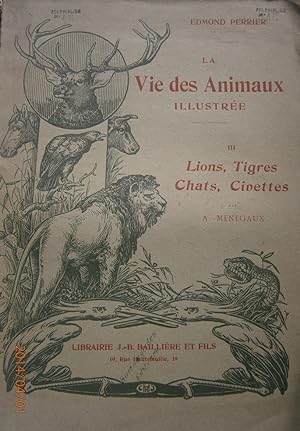 La vie des animaux illustrée - Tome 3 seul : Lions, tigres, chats, civettes. Vers 1920.