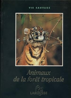 Animaux de la forêt tropicale.