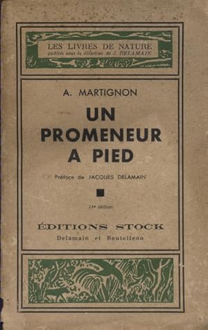 Un promeneur à pied.