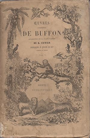 Image du vendeur pour Oeuvres compltes de Buffon augmentes de la classification de G. Cuvier. Tome 6 seul. Sans gravures. Vers 1850. mis en vente par Librairie Et Ctera (et caetera) - Sophie Rosire