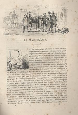 Les Français peints par eux-mêmes. Le maquignon. Vers 1840.