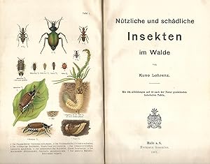 Seller image for Ntzliche und schdliche Insekten im Walde. for sale by Antiquariat Bibliomania