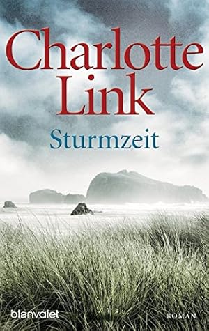 Seller image for Sturmzeit : Roman. Link, Charlotte: Die "Sturmzeit"-Trilogie ; 1; Blanvalet ; 37416 for sale by Antiquariat Buchhandel Daniel Viertel