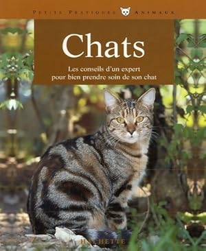 Chats - Katrin Behrend