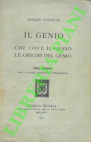Il Genio. Che cos' è il Genio. Le origini del Genio.