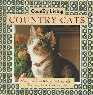 COUNTRY CATS ~ Adventures from Kitchen to Haystack ~ The Busy Days of a Cat's Life
