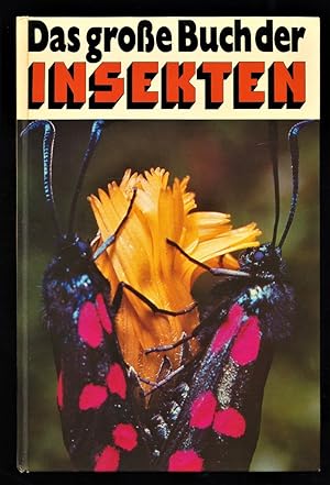 Das grosse Buch der Insekten. Eine Insektenkunde von Engel, Fritz-Martin.