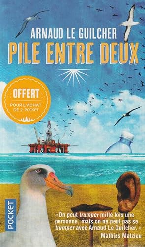 Seller image for PILE ENTRE DEUX for sale by books-livres11.com