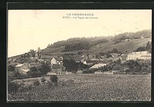 Carte postale Avize, les Vignes des Coteaux