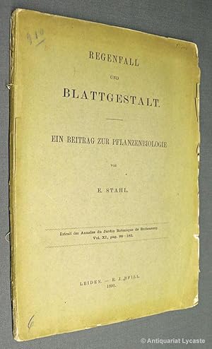 Regenfall und Blattgestalt - Ein Beitrag zur Pflanzenbiologie.