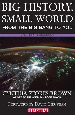 Bild des Verkufers fr Big History, Small World: From the Big Bang to You (Paperback or Softback) zum Verkauf von BargainBookStores
