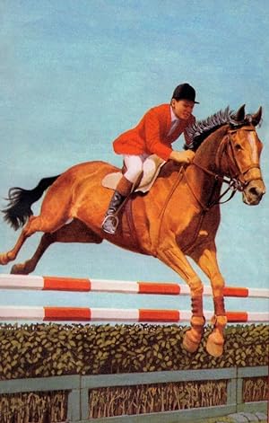 Show Jumping 1960s Horse Equestrian Painting Ladybird Postcard