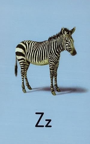 Z Is For Zebra Zoo Vintage Childrens Ladybird Book Postcard