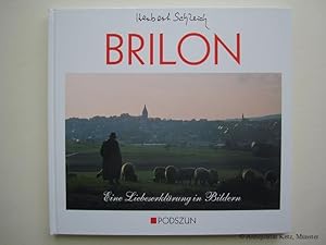 Seller image for Brilon. Eine Liebeserklrung in Bildern. for sale by Antiquariat Hans-Jrgen Ketz