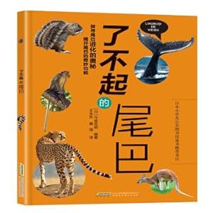 Imagen del vendedor de Chinese Internet regulations compilation (Second Edition)(Chinese Edition) a la venta por liu xing