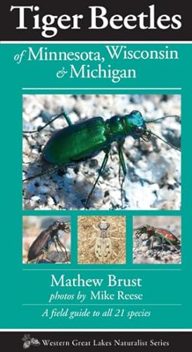 Seller image for Tiger Beetles of Minnesota, Wisconsin & Michigan for sale by GreatBookPrices