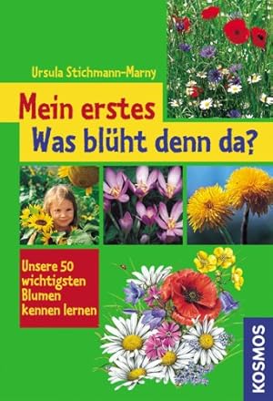 Bild des Verkufers fr Mein erstes Was blht denn da? : unsere 50 wichtigsten Blumen kennen lernen Ursula Stichmann-Marny zum Verkauf von Antiquariat Buchhandel Daniel Viertel