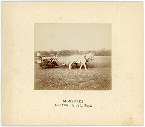 France, Monsures, Moisson, août 1902